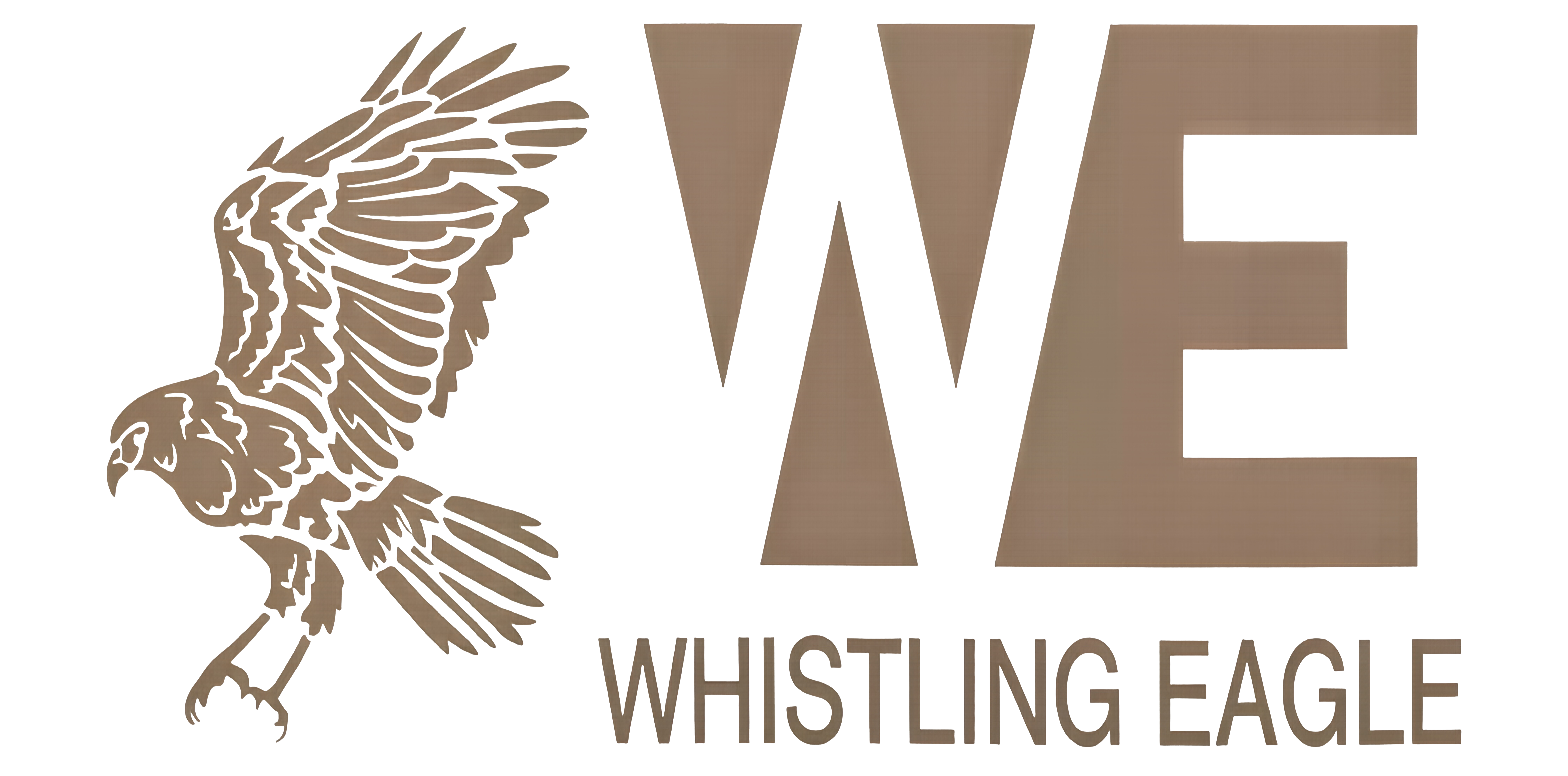 SCCM2026 第三周 VDV vs W.E 比赛视频